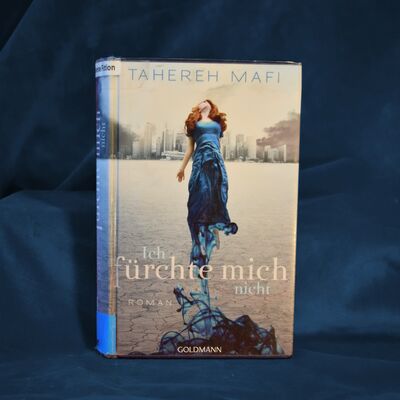 Foto des Buches "Ich f&uuml;rchte mich nicht". Das Cover zeigt im Vordergrund eine rothaarige junge Frau in blauem Kleid. Der Buchtitel "Ich f&uuml;rchte mich nicht" ist grafisch so gestaltet, dass die Worte "f&uuml;rchte mich" besonders hervorgehoben sind.