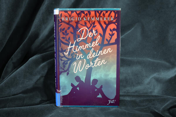 Foto des Buches "Der Himmel in deinen Worten". Das Cover zeigt einen Baum als Scherenschnitt, unter dem R&uuml;cken an R&uuml;cken die Silhouetten eines M&auml;dchens und eines Jungen sitzen und lesen.