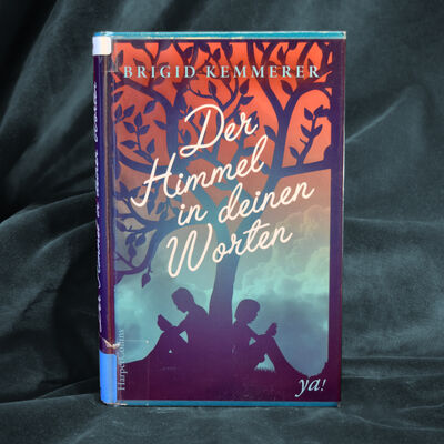 Foto des Buches "Der Himmel in deinen Worten". Das Cover zeigt einen Baum als Scherenschnitt, unter dem R&uuml;cken an R&uuml;cken die Silhouetten eines M&auml;dchens und eines Jungen sitzen und lesen.