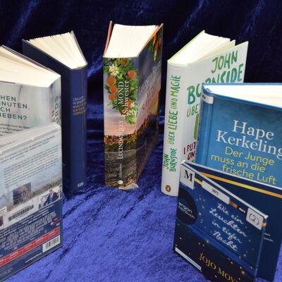 5 B&uuml;cher, eine DVD und ein H&ouml;rbuch sind kreisf&ouml;rmig aufgestellt, wobei vorne eine L&uuml;cke bleibt.