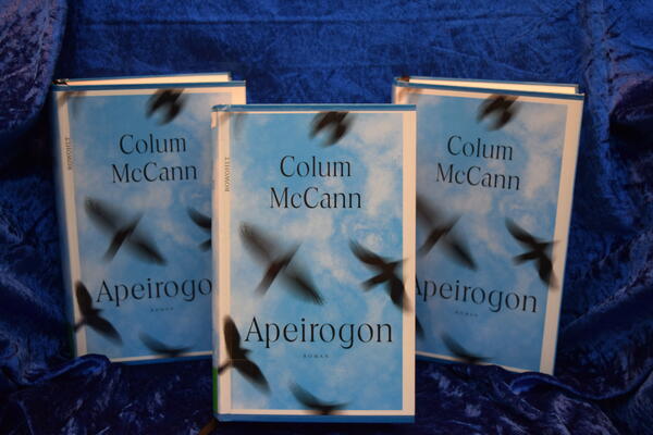 Foto von drei Exemplaren des Buches "Apeirogon". Die blau-wei&szlig;en Cover zeigen die verwackelten Silhouetten von V&ouml;geln im Flug.