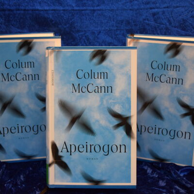Foto von drei Exemplaren des Buches "Apeirogon". Die blau-wei&szlig;en Cover zeigen die verwackelten Silhouetten von V&ouml;geln im Flug.