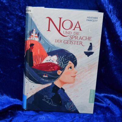Foto des Buches "Noa und die Sprache der Geister". Das gezeichnete Cover zeigt auf grauem Hintergrund ein M&auml;dchen, in dessen langen Haaren weitere Motive aus der Geschichte auftauchen, z.B. ein Schloss auf einer Insel.